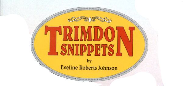 Trimdon Snippets